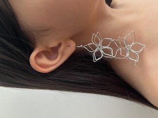 عکس گوشواره دوگل نقره اى 